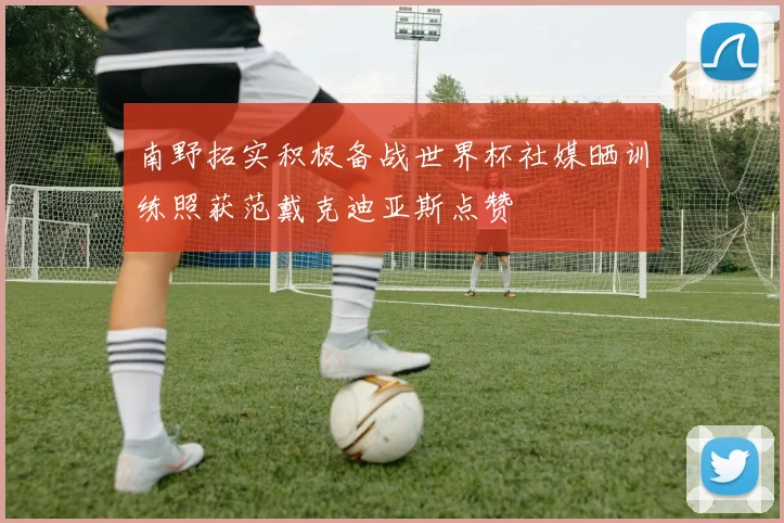 南野拓实积极备战世界杯社媒晒训练照获范戴克迪亚斯点赞