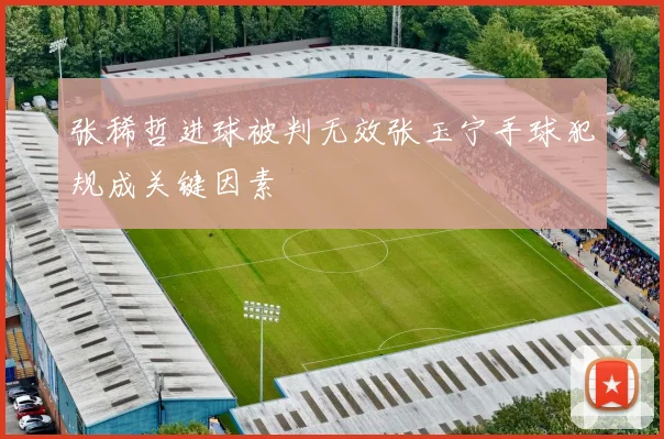 张稀哲进球被判无效张玉宁手球犯规成关键因素