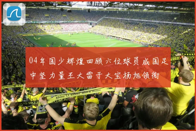 04年国少辉煌回顾六位球员成国足中坚力量王大雷于大宝杨旭领衔