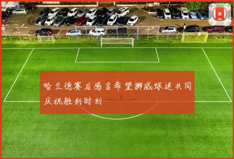 哈兰德赛后感言希望挪威球迷共同庆祝胜利时刻